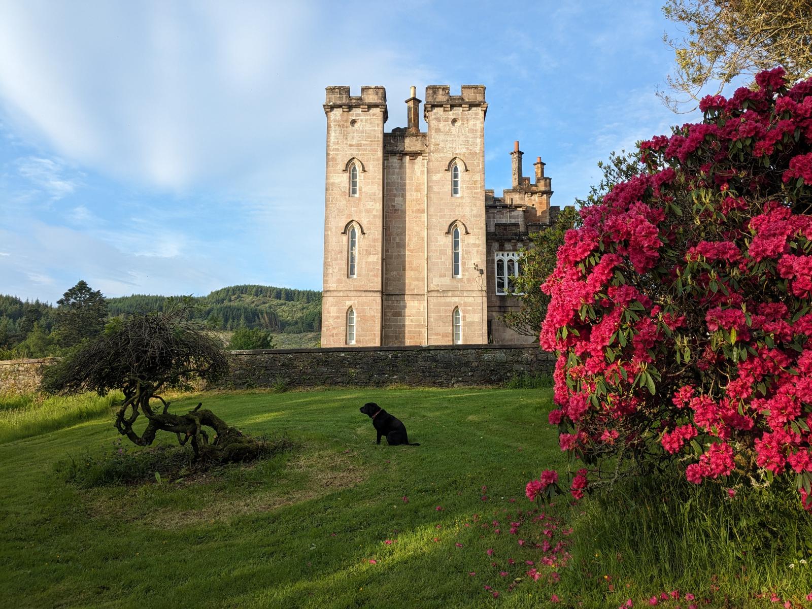 Torrisdale Castle Estate
