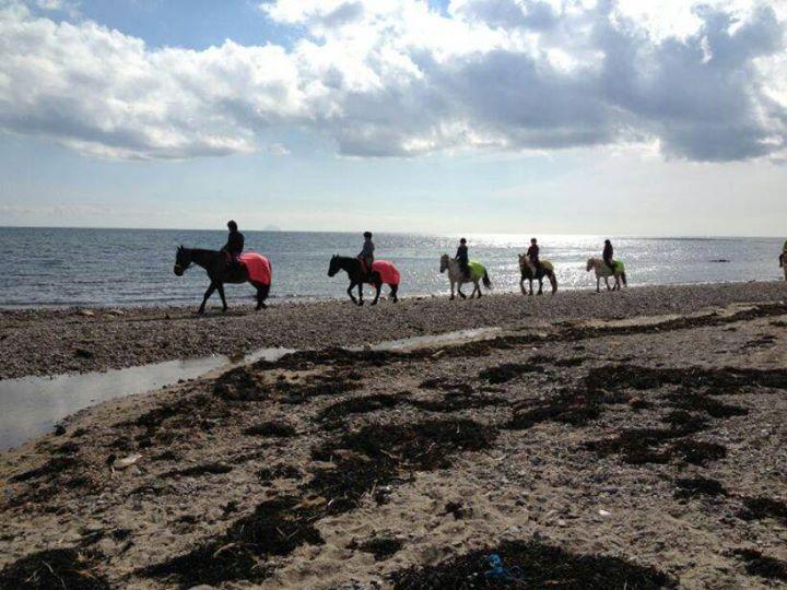 Crosshill Pony Trekking