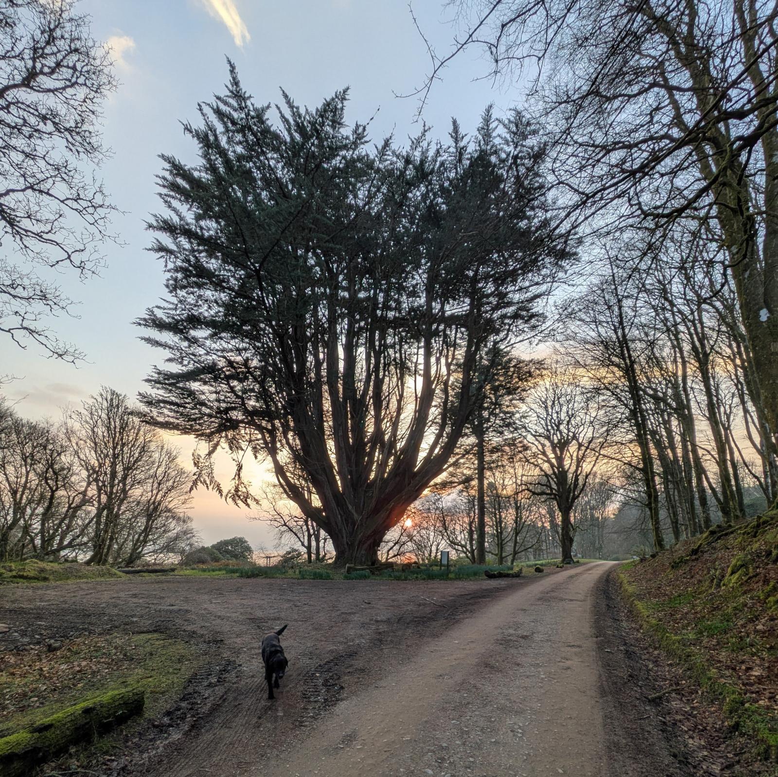 Torrisdale Estate Walks